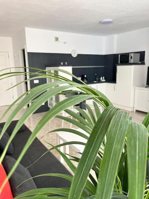 Heyhome Lynn 306 Los Cristianos  Dış mekan fotoğraf